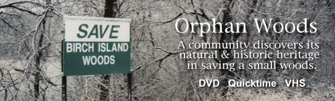orphanwoodsep.jpg